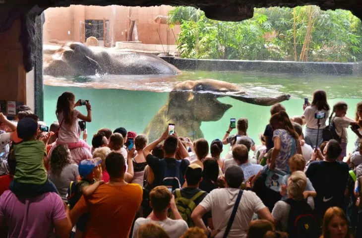 Zoo w Łodzi