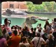 Zoo w Łodzi