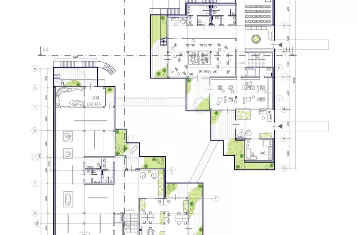 plan of level +1