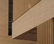 A.P. Møller School in Schleswig