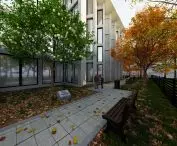 visualization - pear tree