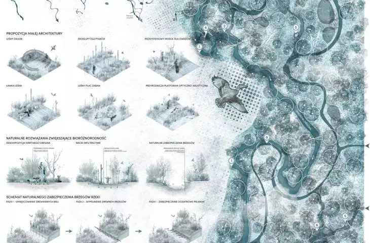 plansza 6