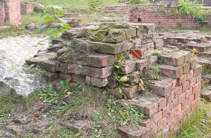 fourth nature in the ruins of the Krakow Fortress at the Mogilskie Roundabout