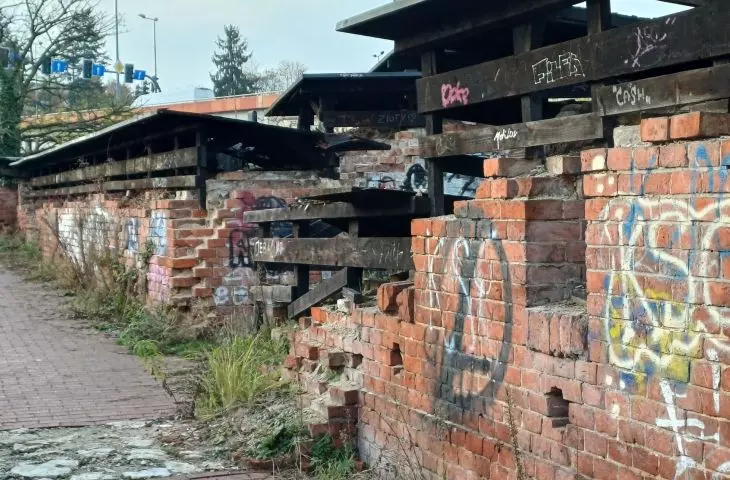 czwarta przyroda w ruinach Twierdzy Kraków na Rondzie Mogilskim