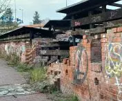 czwarta przyroda w ruinach Twierdzy Kraków na Rondzie Mogilskim