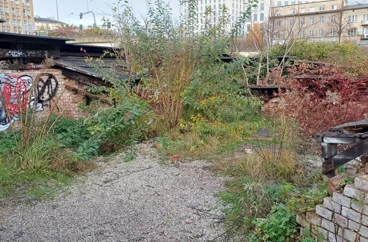 fourth nature in the ruins of the Krakow Fortress at the Mogilskie Roundabout