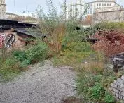 czwarta przyroda w ruinach Twierdzy Kraków na Rondzie Mogilskim