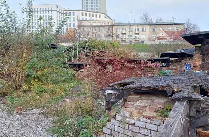 fourth nature in the ruins of the Krakow Fortress at the Mogilskie Roundabout