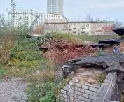 czwarta przyroda w ruinach Twierdzy Kraków na Rondzie Mogilskim