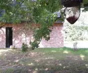 Silesian homestead in Szymonowice