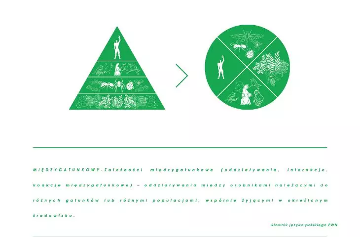 idea projektu — symboliczne odejście od perspektywy antropocentrycznej na rzecz myślenia międzygatunkowego