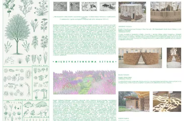 history of coexistence, interspecies materials