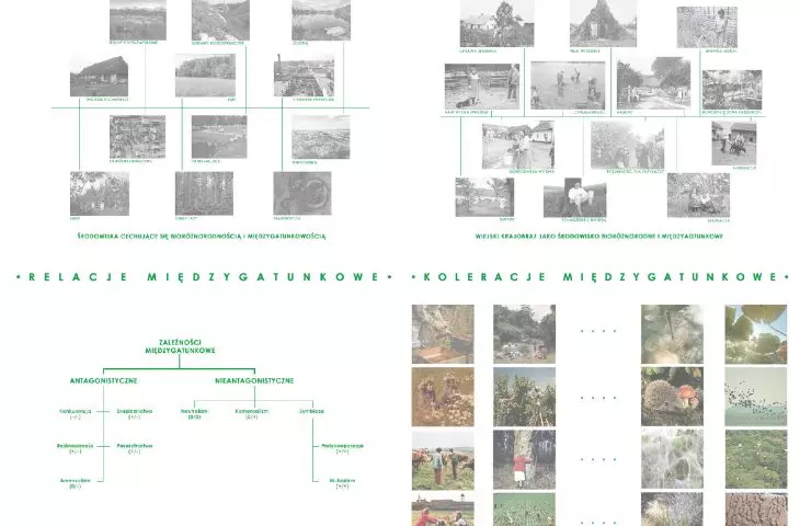 spaces, relationships and interspecies correlations