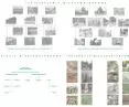 spaces, relationships and interspecies correlations