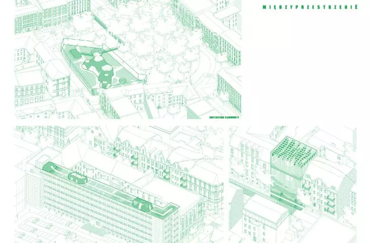 developed interspaces