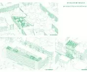 developed interspaces