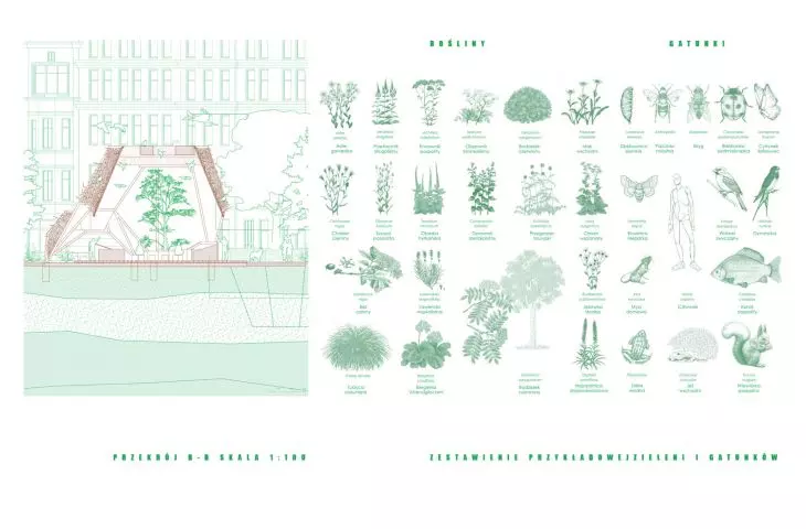section