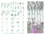 summary of sample greenery and species