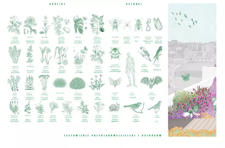 Edible neighborhood