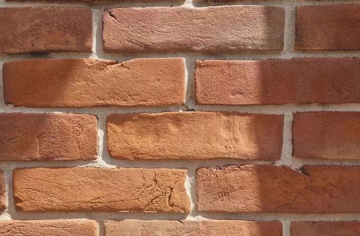 Old Polish Brick, Cekobud