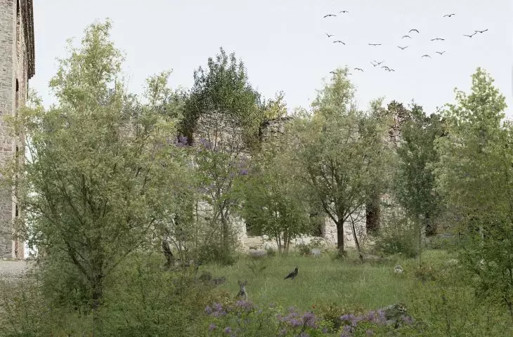 czwarta przyroda