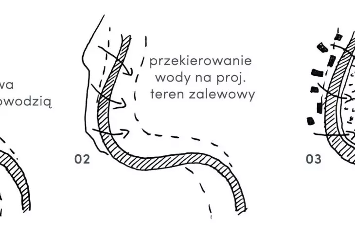 tereny podmokłe