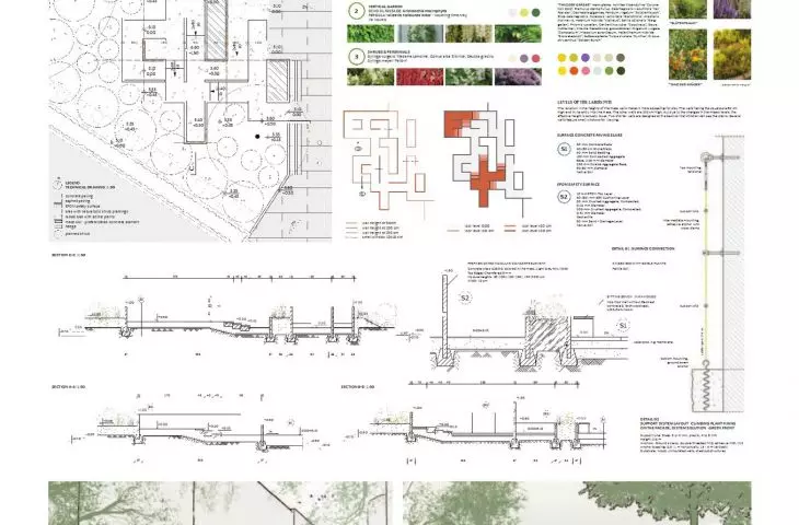 design board