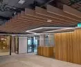 Fovere acoustic solutions