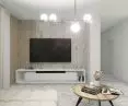laths in the living room
