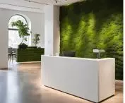 moss and lath