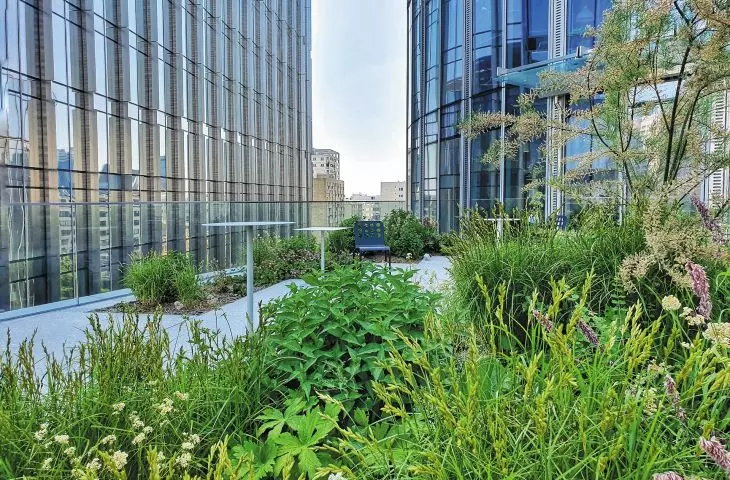 We can use the roof space as a garden, photo by A.Lech, GCL