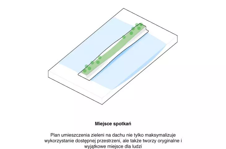 Zieleń na dachu mostu to przestrzeń do relaksu