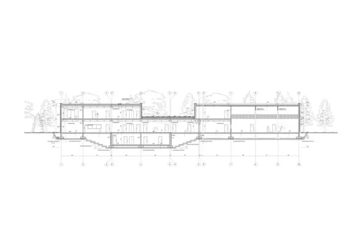 longitudinal section