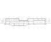 longitudinal section