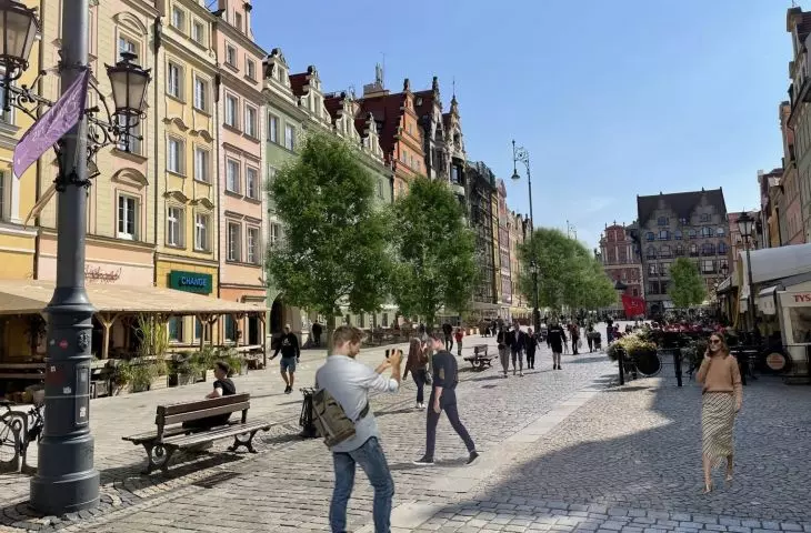121 trees will appear in Wroclaw's Market Square and Świdnicka Street