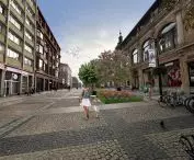 drzewa zostaną także posadzone na ulicy Świdnickiej