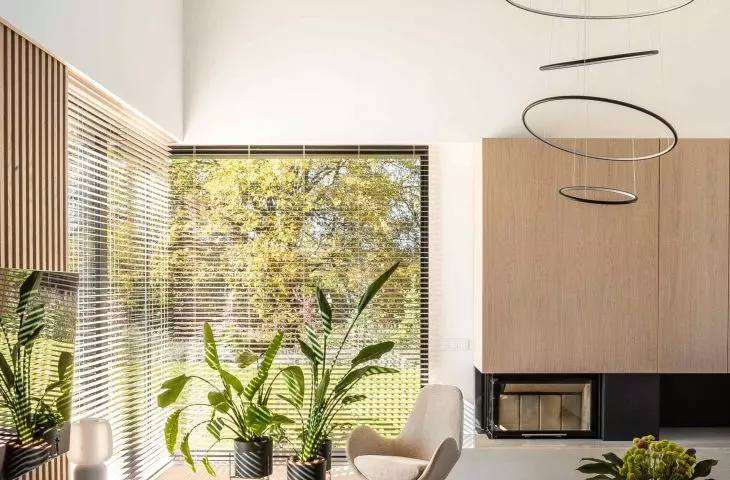 Atrium House