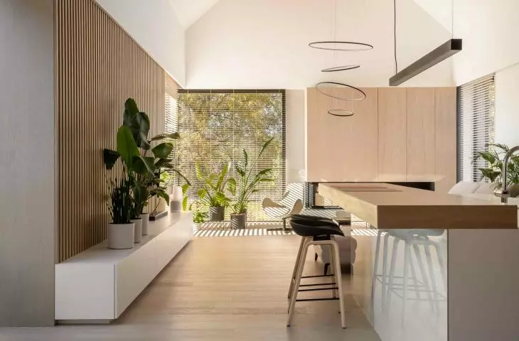 Atrium House