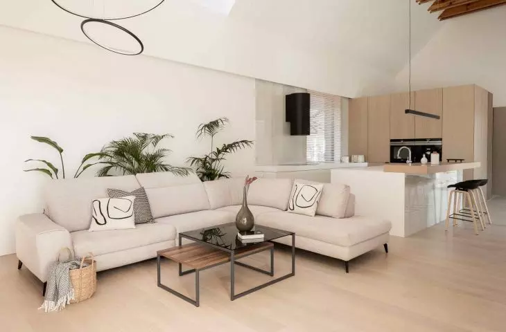 Atrium House