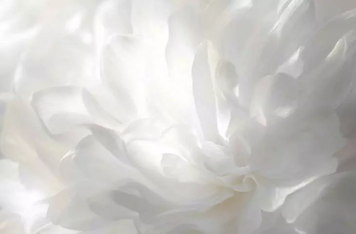 Cloud Dancer the color of the year 2026
