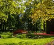 Park 