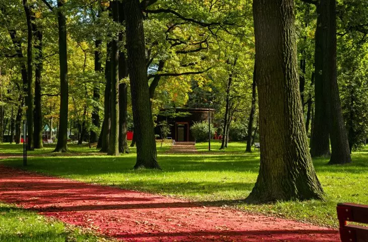 Park 