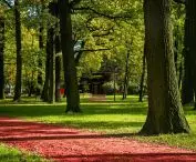 Park 