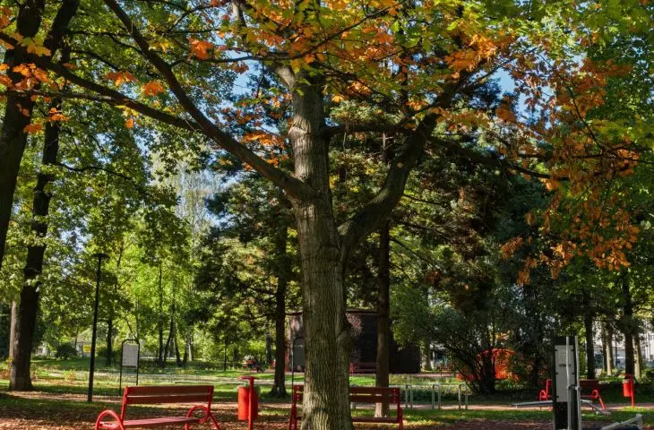 Park 