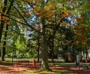 Park „Lasek” w Czechowicach-Dziedzicach