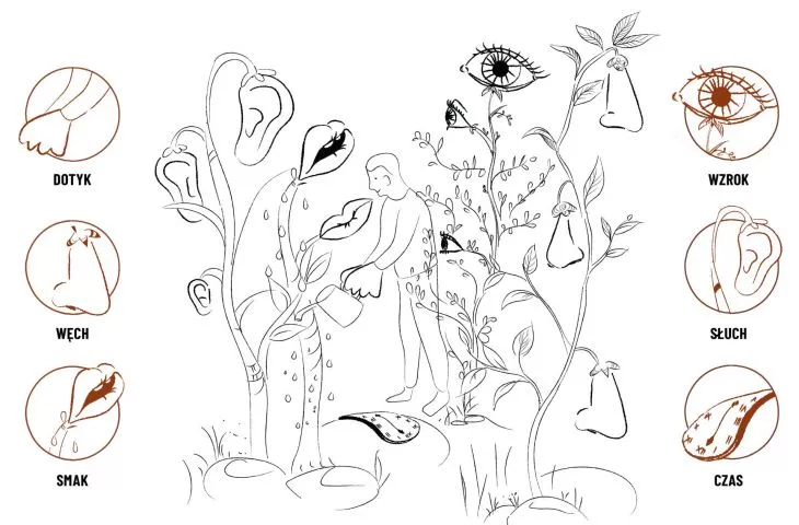 Scheme of influence on the senses
