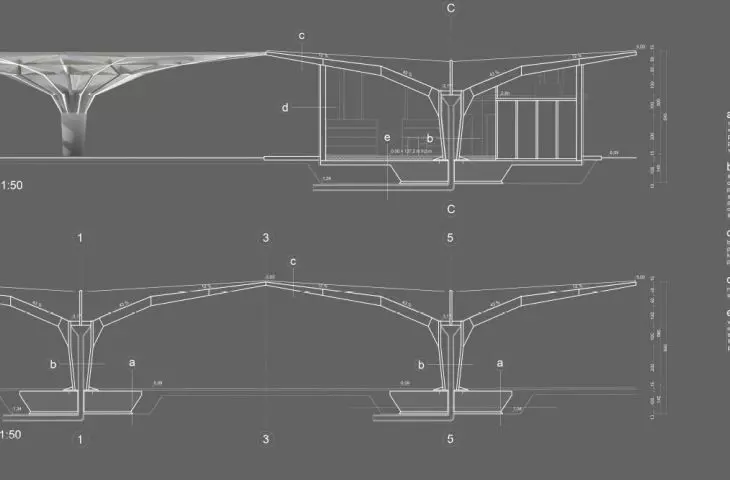 sections
