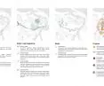 guidelines for areas