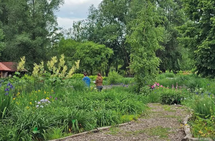 Documentation of field work from demolition exercises of green areas in the Arboretum in Bolestraszyce