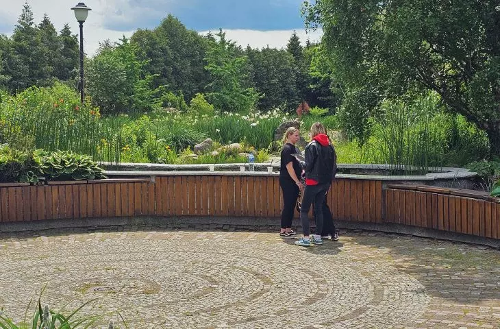 dokumentacja z prac terenowych z ćwiczeń rozbiórki terenów zieleni w Arboretum w Bolestraszycach